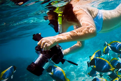 Scuba Diving Playa Flamingo