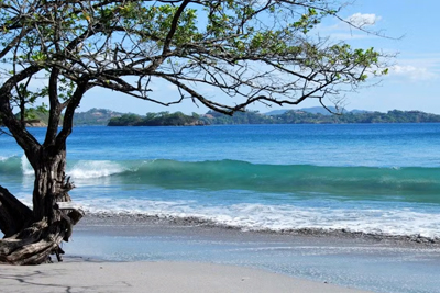 Flamingo Beach