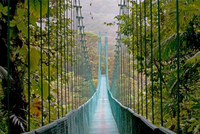 Monteverde Cloud Forest
