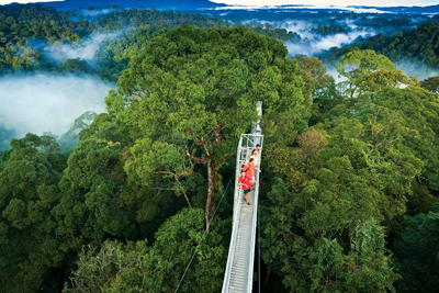 Monteverde Cloud Forest